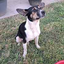 Thumbnail photo of Smore #2