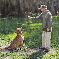 Thumbnail photo of Vinnie #3