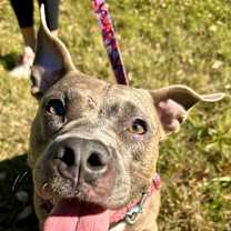 Thumbnail photo of Summer #1