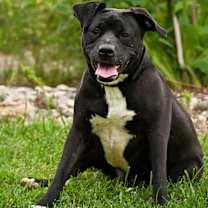 Thumbnail photo of Lyla #3