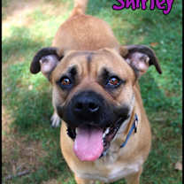 Thumbnail photo of Shirley #2