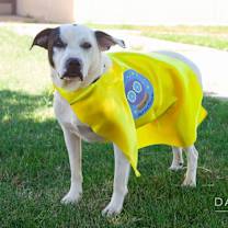 Thumbnail photo of Olaf #3