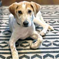 Thumbnail photo of R - RIVER #1