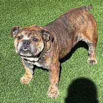 Thumbnail photo of Lyric #2