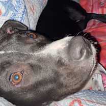 Thumbnail photo of Tippy #3