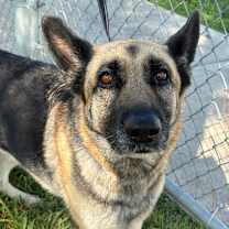 Thumbnail photo of Bloom #2