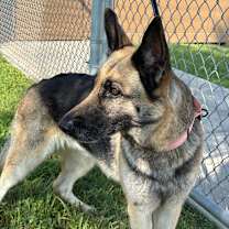 Thumbnail photo of Bloom #3