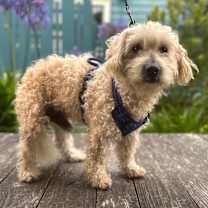 Thumbnail photo of Andrew  #2