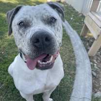 Thumbnail photo of Jacob  #2