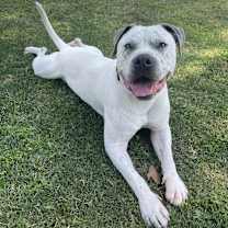 Thumbnail photo of Jacob  #3