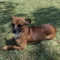 Thumbnail photo of Nash #1