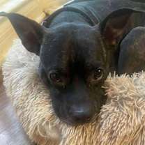 Thumbnail photo of Arthur #1