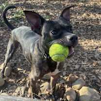 Thumbnail photo of Arthur #2