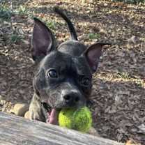 Thumbnail photo of Arthur #3