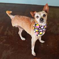 Thumbnail photo of Zip #1