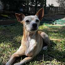 Thumbnail photo of Zip #2