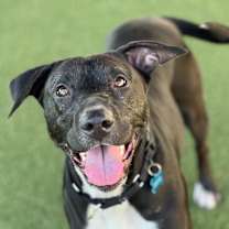 Thumbnail photo of Fergie #1