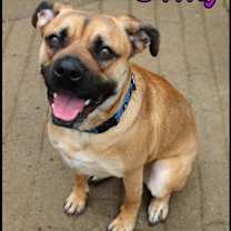 Thumbnail photo of Shirley #4