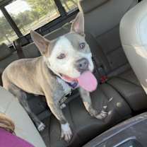 Thumbnail photo of Herman #1