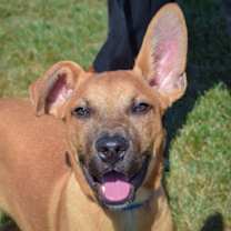 Thumbnail photo of Denver #1