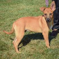 Thumbnail photo of Denver #2