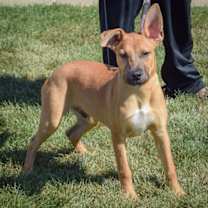 Thumbnail photo of Denver #3