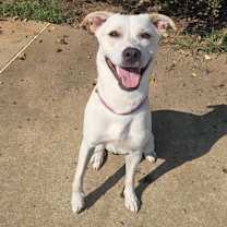 Thumbnail photo of Pearl #3