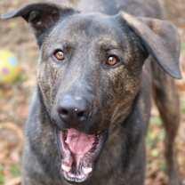 Thumbnail photo of Claus #1