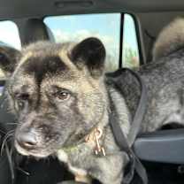 Thumbnail photo of Chanel #3