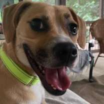 Thumbnail photo of Ed #3