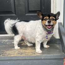 Thumbnail photo of Daphne #2