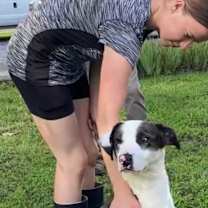 Thumbnail photo of Whiskey #1