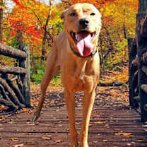 Thumbnail photo of Tanaka #2