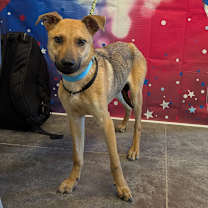 Thumbnail photo of Oogie #2