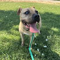 Thumbnail photo of RUBBLE #1