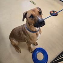 Thumbnail photo of Trusty #3