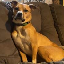 Thumbnail photo of Kali #1