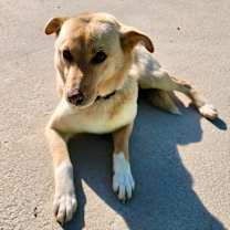 Thumbnail photo of Miuccia Prada #4