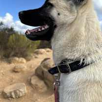 Thumbnail photo of Titus #4