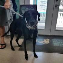 Thumbnail photo of Luna #1