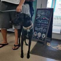 Thumbnail photo of Luna #2