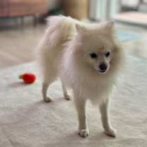 Thumbnail photo of Oli #4