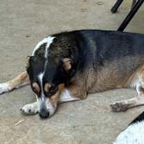 Thumbnail photo of Davina  #1