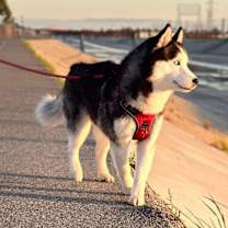 Thumbnail photo of Yuno #4