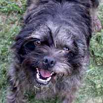 Thumbnail photo of Norma Jean #1