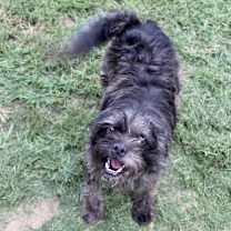 Thumbnail photo of Norma Jean #2