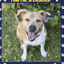 Thumbnail photo of Aster Lee #2