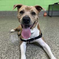 Thumbnail photo of Aster Lee #3