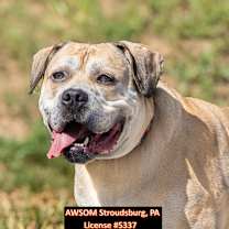 Thumbnail photo of Zeus II #2