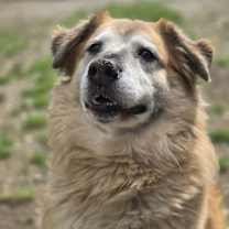 Thumbnail photo of Brew #1